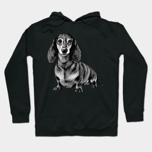 Dachshunds Poodle Style, Trendsetting Tail-Wagging T-shirt Hoodie